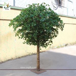 China UVG GRE024 Wholesale green artificial money tree plant for restaurant decoration 6ft high on sale