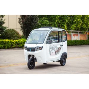 China 800W Passenger Electric Tricycle Adults Passenger 3 Wheel Electric Tricycle wholesale