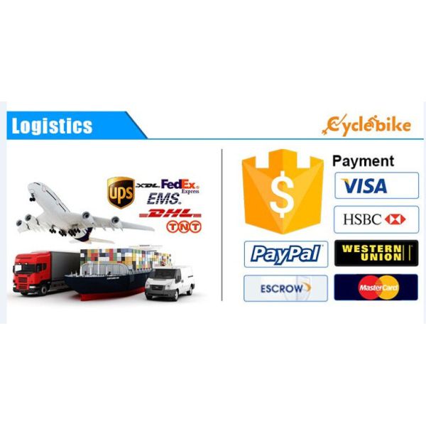 Lightweight 36v 8.8ah Electric Bike Lithium Battery For Single Battery Cells