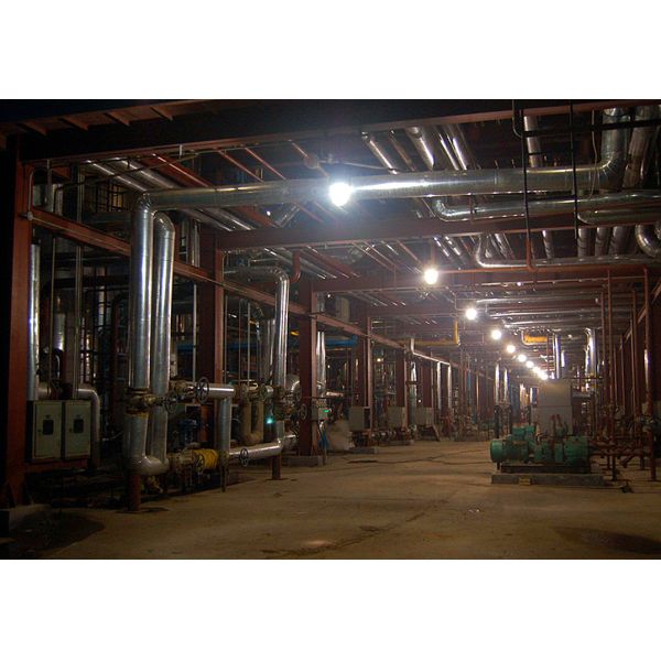 220V LED Security Flood Light