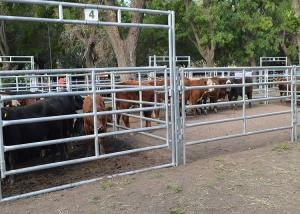 China Farm Interlocking L4m Livestock Fence Panels wholesale