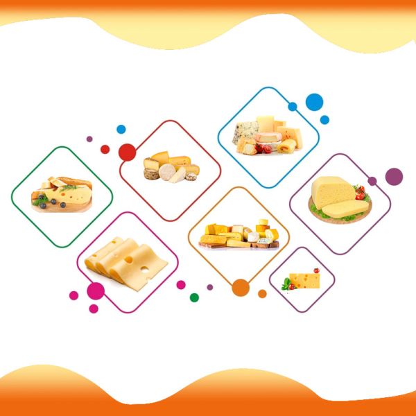 Butter / Cheese Processing Plant Cheese Making Equipment , 20000L/D Mutifuntional Cheese Processing Equipment