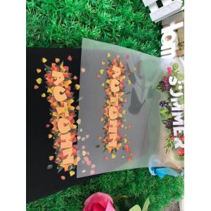 China Nontoxic Heat Transfer Film For Plastic Products With OEKO-Test 100 Certification wholesale