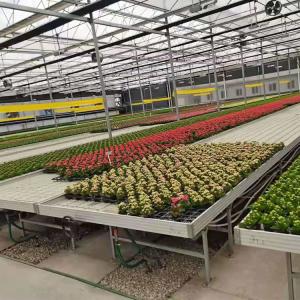 China Vegetables Ebb And Flow Tray Seeding Bed Greenhouse Rolling Benches wholesale