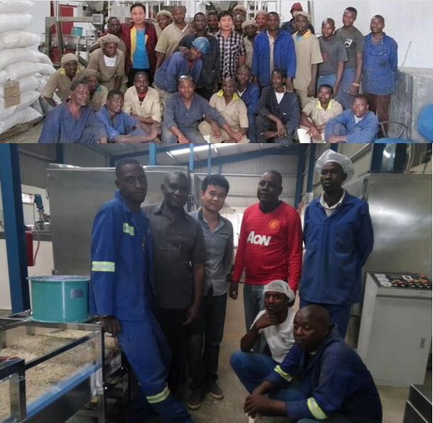 Industrial Pet Feed Processing Machine Dog And Cat Food Making Equipment