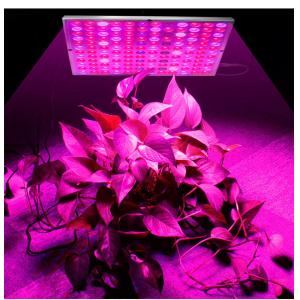 China Full Spectrum 45W 85V Indoor Plant Grow Light on sale